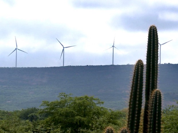 Piauí vira alvo de investimentos e se torna um dos maiores produtores de energia eólica do Brasil