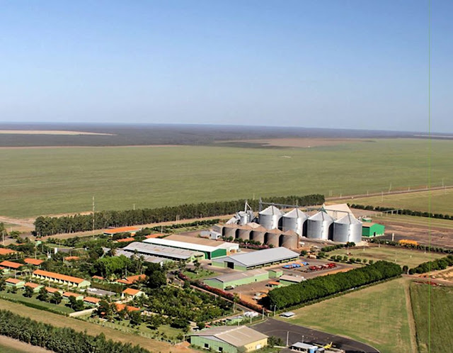 Descendente de holandeses emprega mais de 500 pessoas e inaugura usina solar em fazenda no Piauí