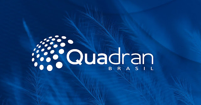 Empresa francesa pretende investir R$ 1 bilhão de reais para produzir energia eólica no Piauí